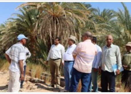 وزارة الزراعة تواصل متابعة تنفيذ مشروع التنمية المستدامة بالوادي الجديد