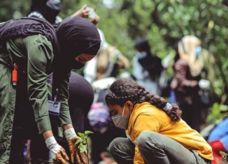 Ethiopia, Kenya among 10 states committed to restoring nature