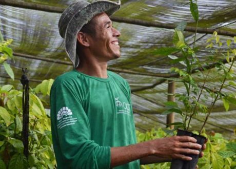 Mucilon’s initiative lures people to join Nestle’s 1 mln tree drive
