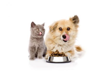 Mars to use recycled plastic in packaging some pet food brands