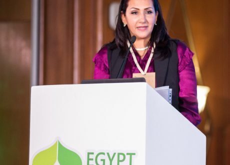 نجلاء نصير: توحيد الجهود التنموية يساعد على تخطّي تبعات كورونا