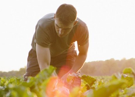 Nestlé joins Exponential Roadmap Initiative to expedite climate action