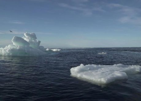 Greenhouse gas emissions transforming the Arctic into ‘an entirely different climate’
