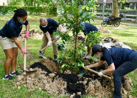 US embassy in Singapore plants 45 trees in Jan. under CSR