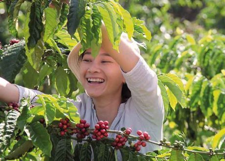 Nescafé to use eco-friendly packaging,100% responsibly sourced coffee by 2025  