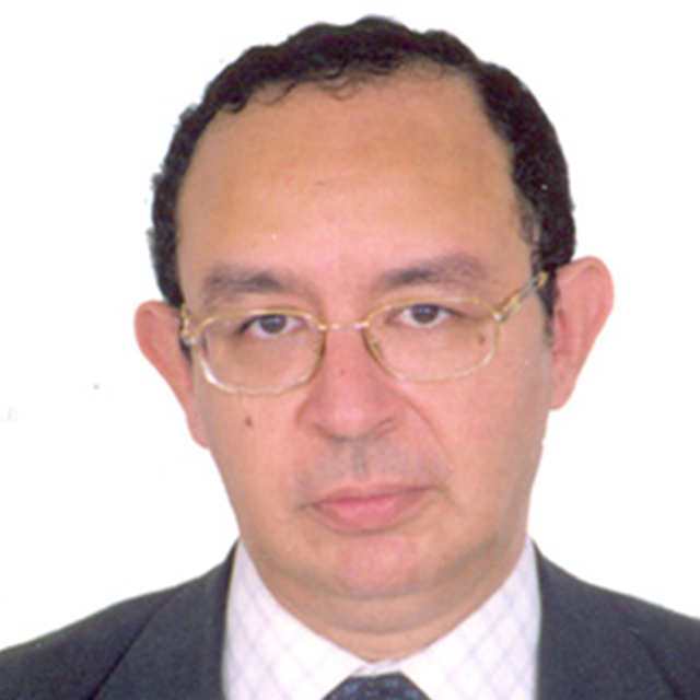 الدكتور عمرو حسنين