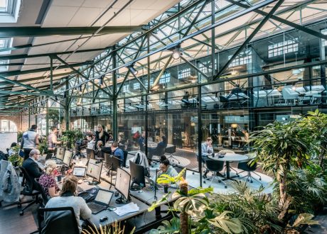 UNDP teams up with with Norrsken Foundation to support start-ups