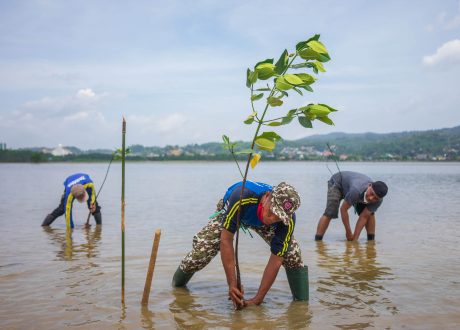  Global EbA Fund to offer up to $ 250,000 for climate change adaptation initiatives