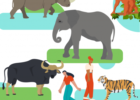 TikTok joins Coalition to End Wildlife Trafficking Online