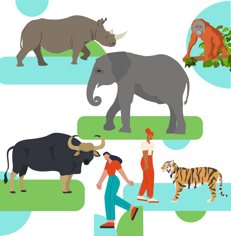 TikTok joins Coalition to End Wildlife Trafficking Online