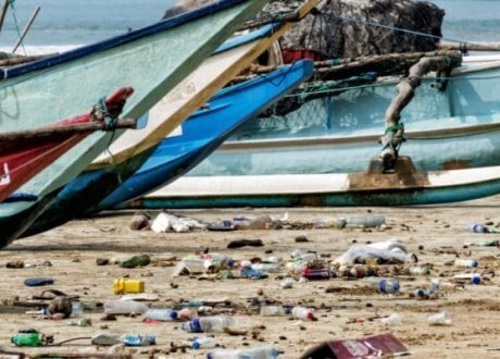 KENYA: WWF signs with PETCO to manage plastic waste on the coast