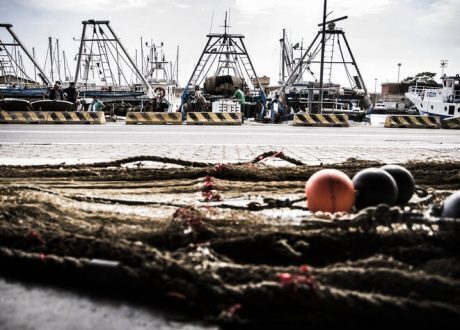 30 countries partner with FAO, IMO to tackle marine litter under SDG 14