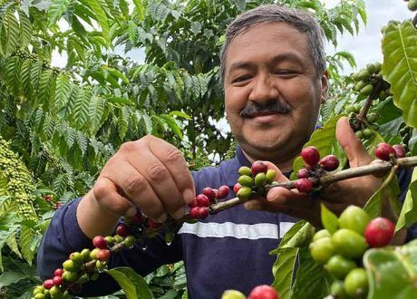Nestlé develops low carbon coffee varieties