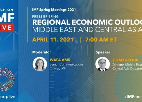 IMF expects Egyptian economy to rebound next year