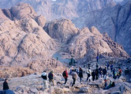 Saint Catherine to become largest eco-friendly city by end of 2021
