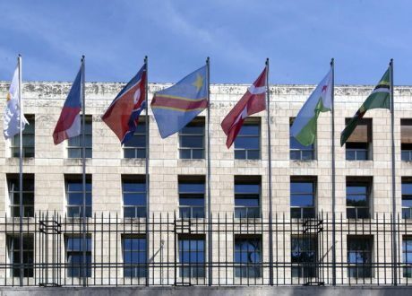 FAO’s new corporate environmental strategy to halve GHG by 2030