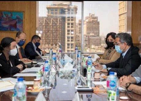 ضمن رؤية مصر 2030.. «العناني» و«فؤاد» يبحثان سبل دعم السياحة البيئية