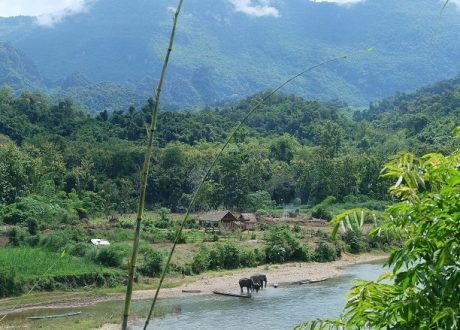 World Bank earmarks $41.8 m to cut emissions, preserve forests in Congo