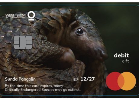 Mastercard launches Wildlife Impact Card Program