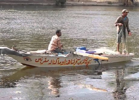 التضامن الاجتماعي و«تحيا مصر» يطلقان المرحلة الأولى من مبادرة «بر أمان»
