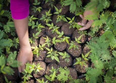 GCF to extend $54 m to Costa Rica for climate action