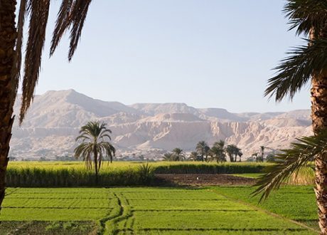 EBRD extends $ 100m loan to NBE to back SMEs in Egypt