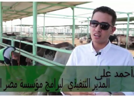 ضمن حملة «صك الأضحية».. مصر الخير تعلن عن هدايا للمتبرعين