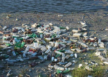 Uganda joins Clean Seas Campaign to curb plastic waste