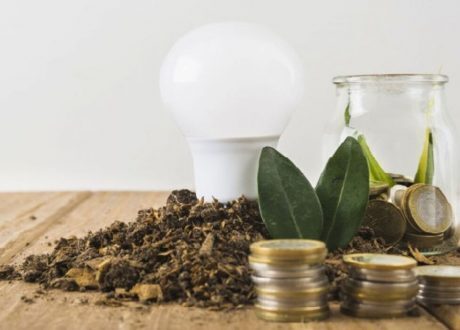 وزارة التخطيط تبحث آليات دعم تحول القطاع الخاص إلى الاقتصاد الأخضر