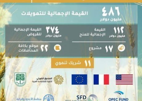 Egypt secures $486 m for 17 development projects under SDG 2