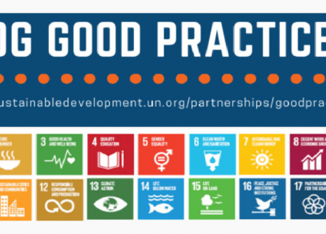After “Decent Life”..3 other Egyptian initiatives on UN SDG Good Practices