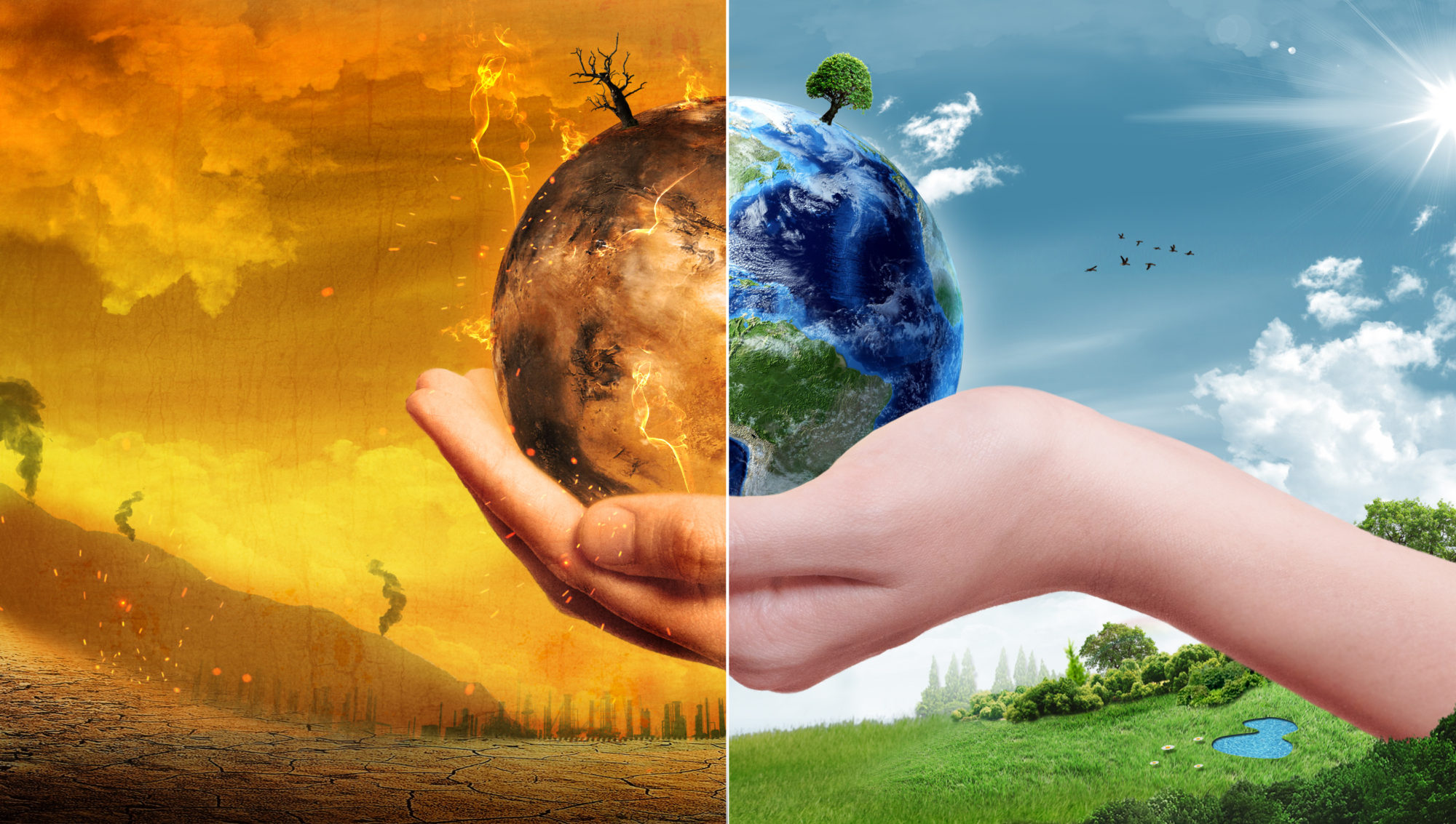 H&M, IKEA Kingfisher, Walmart launch climate change initiative