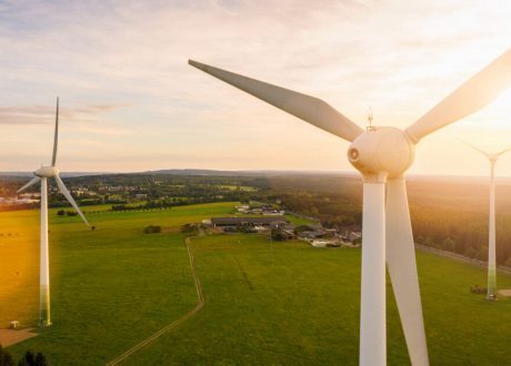 BBVA endorses TSVCM report on voluntary carbon market