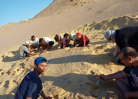 لدمج الشباب في العمل البيئي.. «البيئة» تُطلق تدريب في مجال اكتشاف وصيانة الحفريات