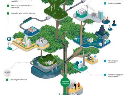 IFC invests $ 100m in Egypt’s first private sector green bond