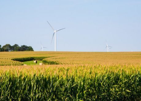 Mars to secure 100% renewable energy for its 2,000 veterinary hospitals in US