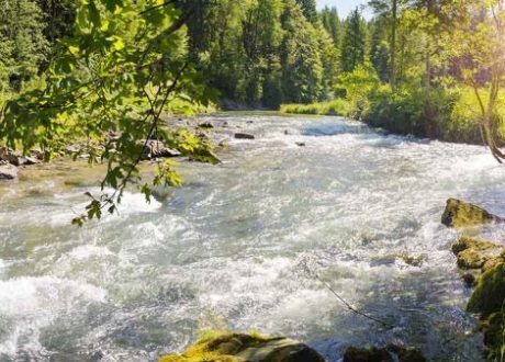 Mars to partner with 30 global businesses to accelerate water action