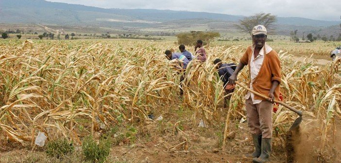  India allocates $ 1 m to help Zimbabweans affected by climate shocks