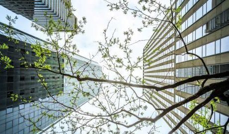 Mastercard launches new Sustainability Innovation Lab in Stockholm