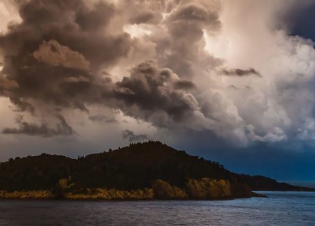WMO: Climate change causes $ 202 m economic losses per day over 50 years