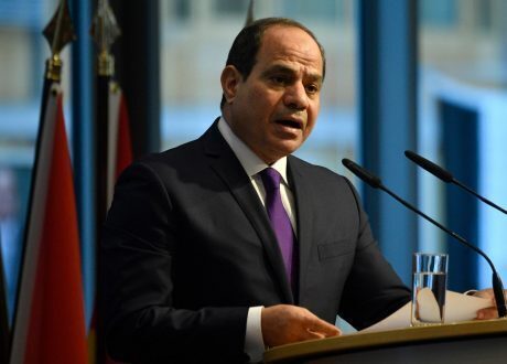 السيسي: نسعى لإضافة نصف مليون فدان زراعة مستقرة بنظم حديثة