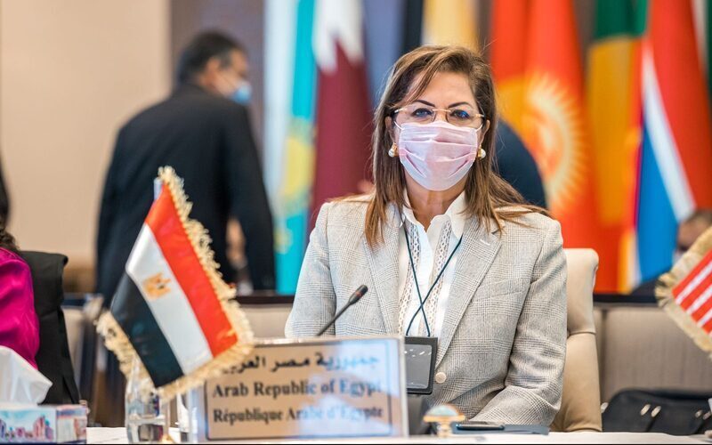 «التخطيط» تطلق «دليل خطة التنمية المستدامة المستجيبة للنوع الاجتماعي»