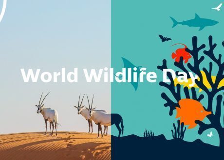 UNEP to engage Dubai EXPO visitors in World Wildlife Day celebration