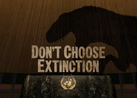 UNDP’s ‘Don’t Choose Extinction’ campaign underlines how fossil fuel hampers climate action