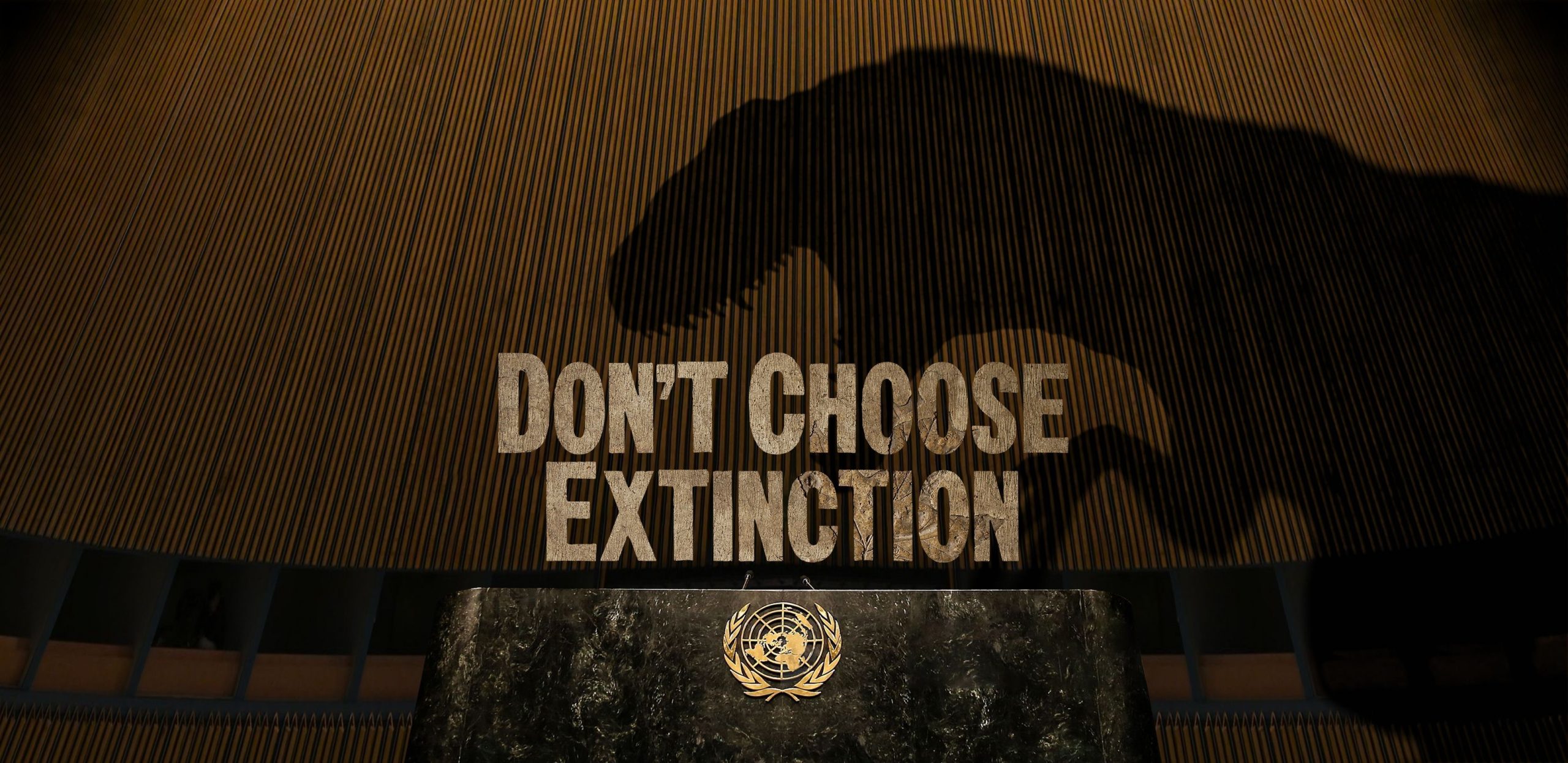 UNDP’s ‘Don’t Choose Extinction’ campaign underlines how fossil fuel hampers climate action