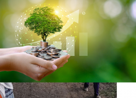 Report: 94% of banks identify sustainability as a strategic priority