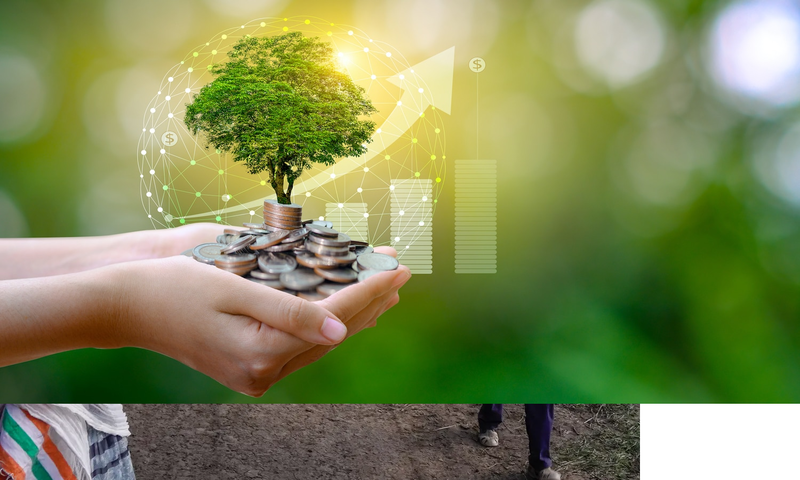 Report: 94% of banks identify sustainability as a strategic priority