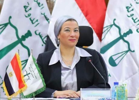 «البيئة» تفتتح ورشة العمل الخامسة «دور القضاء الإداري في حماية البيئة»