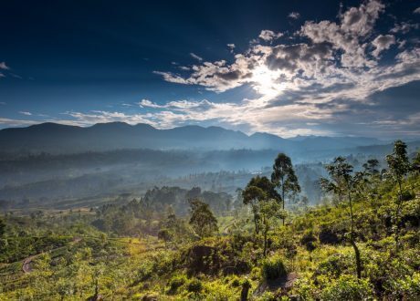 Paris Agreement Rulebook significant achievement of COP26