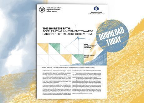EBRD/FAO report: Reducing agribusiness emissions can save up to $ 360bn